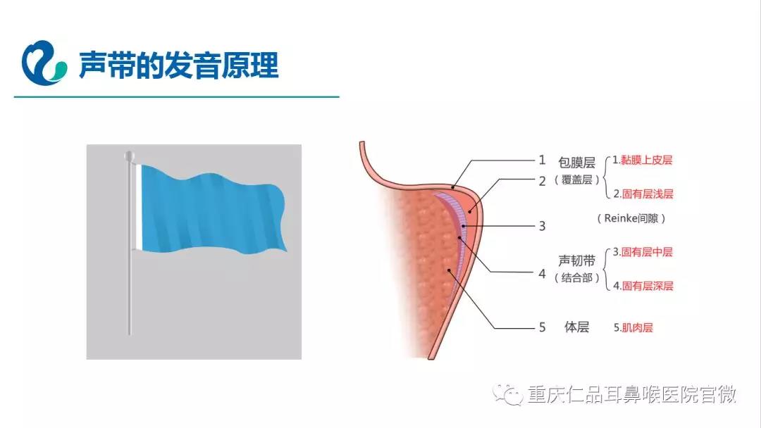 嘶哑破坏了美丽的声音，我该怎么办