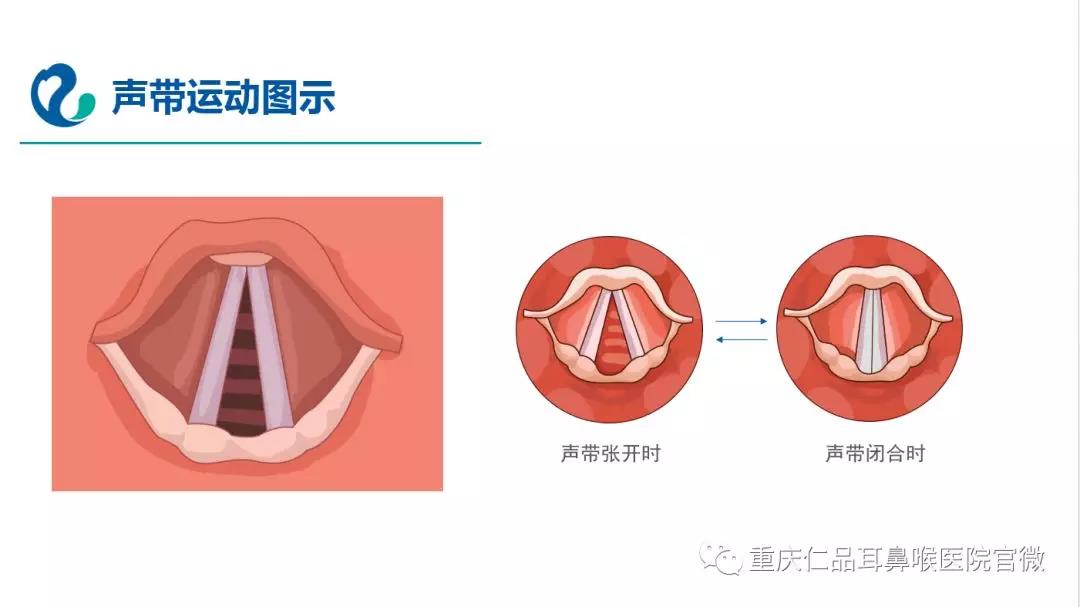 嘶哑破坏了美丽的声音，我该怎么办