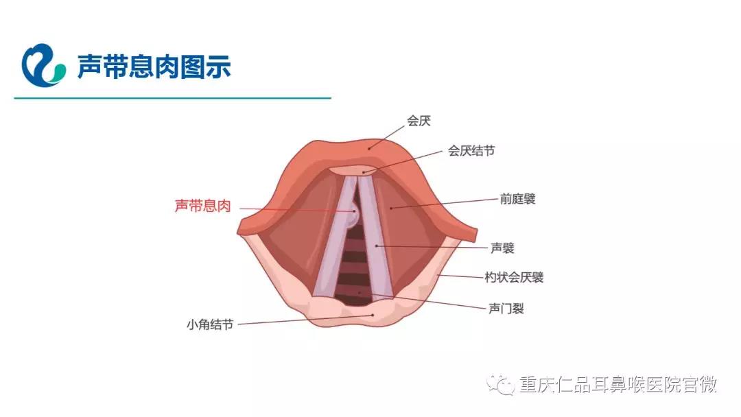   嘶哑破坏了美丽的声音，我该怎么办