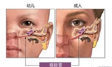 咽鼓管